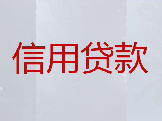 肥东县抵押贷款公司-信用贷款